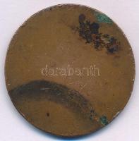 Göröntsér Greff Lajos (1888-1976) 1907. "Magyar Úszó Szövetség" egyoldalas bronz emlékérem...