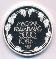 2008. 5000Ft Ag "Tokaji Történelmi Borvidék" kapszulában T:PP Adamo EM219