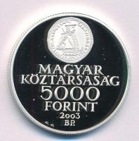 2003. 5000Ft Ag "A Rákóczi szabadságharc 300. évfordulója" kapszulában T:PP 
Adamo EM186