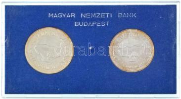 1969. 50Ft Ag + 100Ft Ag "Tanácsköztársaság" érmepár eredeti "MNB" plasztiktokban T:BU patina Hungary 1969. 50 Forint Ag + 100 Forint Ag "Tanácsköztársaság (Republic of Councils, or Hungarian Soviet Republic in 1919)" coin pair in original "MNB (Hungarian National Bank)" plastic case C:BU patina Adamo EM34, EM35, Krause KM#589, KM#590