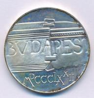 1972. 100Ft Ag &quot;Budapest&quot; kapszulában T:UNC patina Adamo EM40