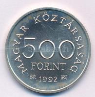 1992. 500Ft Ag "Károly Róbert" kapszulában T:BU patina
Adamo EM123