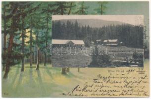 1901 Biharfüred, Stana de Vale, Stina de Vale; fürdő. Sonnenfeld Adolf kiadása, szecessziós erdős litho / spa. Art Nouveau forest litho (EK)