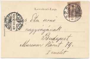 1901 Biharfüred, Stana de Vale, Stina de Vale; fürdő. Sonnenfeld Adolf kiadása, szecessziós erdős li...