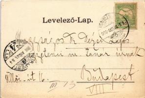 1906 Herkulesfürdő, Baile Herculane; Lorenz villa (EK)