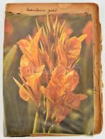 cca 1930-1970 Receptkönyv, rengeteg kézzel írt recepttel, helyenként kissé sérült, foltos lapokkal