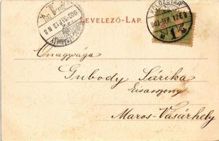 1903 Kolozsvár, Cluj; Mátyás király tér, Böckel, Jeney Lajos és Reményik L. és fiai üzlete / square,...