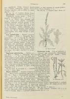 Wagner János: Magyarország virágos növényei. A Hoffmann K. növényatlaszának képeivel. A Dr. Hoffmann...