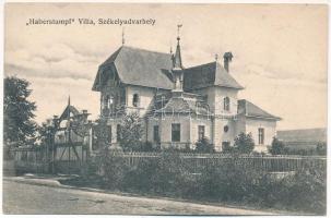 Székelyudvarhely, Odorheiu Secuiesc; Haberstumpf villa / villa (EK)