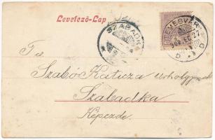 1900 Anina, Stájerlakanina, Steierdorf; Diretkionsbureaux / Vasgyár igazgatósági épülete / directori...