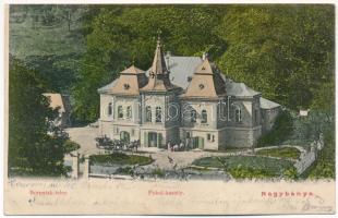 1905 Borpatak, Borpatak-telep, Valea Borcutului (Nagybánya, Baia Mare); Pokol kastély / castle (EK)