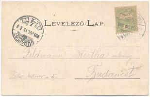 1905 Borpatak, Borpatak-telep, Valea Borcutului (Nagybánya, Baia Mare); Pokol kastély / castle (EK)