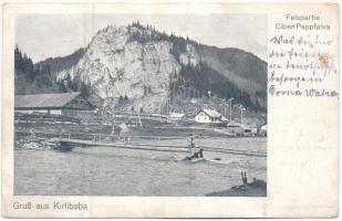 1915 Tibau, Ciben, Pappfalva (Carlibaba, Kirlibaba; Bukovina, Bukowina, Bucovina); Felspartie / wooden bridge (fa)