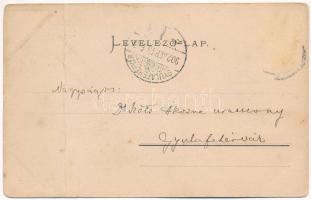 1902 Marosludas, Ludosul de Mures, Ludus; Városház. Weinrich S. kiadása / town hall (fa)