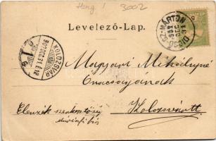 1902 Dicsőszentmárton, Tarnaveni, Diciosanmartin; Vármegyeháza. Jeremiás Áron kiadása / county hall ...