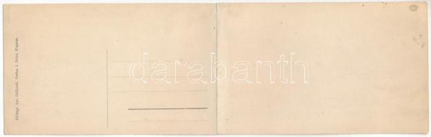 Fogaras, Fagaras; látkép. 2-részes kihajtható panorámalap. Leo Palliardi felvétele, J. Járos kiadása...