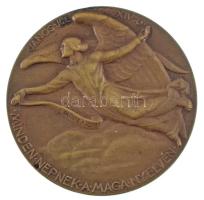 Berán Lajos (1882-1943) 1934. "Luther Márton" kétoldalas bronz emlékérem. "D LUTHER M...