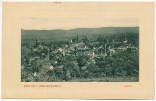 1911 Borossebes, Boros-Sebes, Sebis; látkép. W.L. Bp. 5283. Uránia nyomda kiadása / general view (EK)