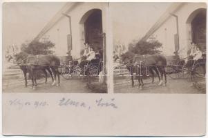 1900 Világos, Siria; lovashintó a kúria kapujában / horse chariot at the villa entry gate. photo (fl)