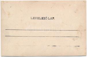 1900 Világos, Siria; lovashintó a kúria kapujában / horse chariot at the villa entry gate. photo (fl...