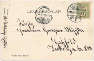 1905 Temesvár, Timisoara; Ruschil Rezső üzlete és saját kiadása / publisher's shop (EK)