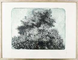 Hertay Mária (1932-2018): Virágzó vadgesztenye. Rézkarc, papír, jelzett, Hertay Mária autográf ajándékozási soraival, lap széle kissé foltos, üvegezett fakeretben, 30x40 cm