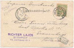 1901 Herkulesfürdő, Baile Herculane; látkép, román folklór. Emil Jäger kiadása / general view, Roman...