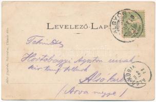 1905 Algyógy, Geoagiu, Gergesdorf; borospince belső hordókkal. Adler fényirda / wine cellar interior...