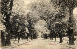 Kolozsvár, Cluj; Sétatéri fasor. Schuster Emil kiadása / promenade (EK)