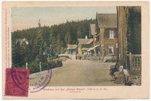 1908 Szebenjuharos, Hohe Rinne, Paltinis; gyógyház. Ritka erdélyi hotelposta! / Kurhaus auf der Hohen Rinne 1908 2 h. / sanatorium, very rare Transylvanian hotel post. TCV card (EK)