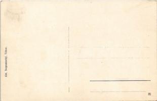 Tábor, Sokolovna. Em. Nepomucky / falconers training house