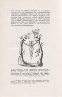 Völgyesi Ferenc:
Ember- és állat-hypnosis. Tekintettel az agy phylo- és ontogenesisére. (Dedikált.)...