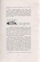 Völgyesi Ferenc:
Ember- és állat-hypnosis. Tekintettel az agy phylo- és ontogenesisére. (Dedikált.)...