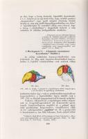 Völgyesi Ferenc:
Ember- és állat-hypnosis. Tekintettel az agy phylo- és ontogenesisére. (Dedikált.)...