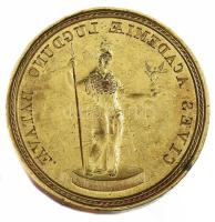 Cives Academiae Lugduno Batavae - A leideni egyetem nagy méretű réz pecsétnyomója XIX. sz. / Large c...