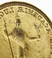 Cives Academiae Lugduno Batavae - A leideni egyetem nagy méretű réz pecsétnyomója XIX. sz. / Large c...