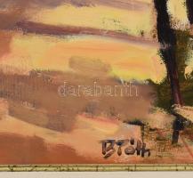 B. Tóth Edit (1958-): Kisvárosi utca. Olaj, farost, jelzett. Dekoratív fakeretben, 40×50 cm