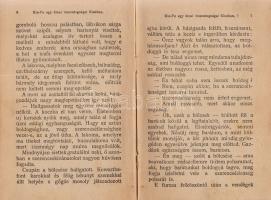Verne, [Jules] Gyula:
Kin-fu. Egy kínai viszontagságai Kínában.
Budapest, 1903. Magyar Kereskedelm...