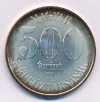 1988. 500Ft Ag "Labdarúgó Európa-Bajnokság" kapszulában T:BU patina 
Adamo EM104