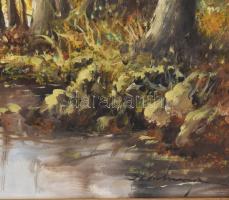 Olvashatatlan jelzéssel: Színes táj. Olaj, vászon. Dekoratív, sérült fakeretben,60×80 cm