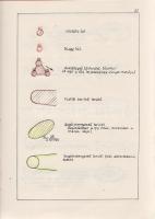 [Teendők atombomba-támadás esetén. A Polgári Védelmi Parancsnokság szigorúan titkos minősítésű egyez...