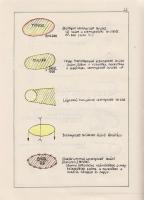 [Teendők atombomba-támadás esetén. A Polgári Védelmi Parancsnokság szigorúan titkos minősítésű egyez...