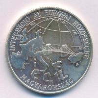 1993. 500Ft Ag &quot;Integráció Az Európai Közösségbe&quot; kapszulában T:BU patina Adamo EM130