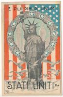 E Pluribus unum Stati Uniti / &quot;Out of many, one in the United States&quot; American WWI propaganda, Statue of Liberty, flag, eagles. U. Palchetti (fl)