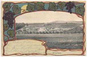 1900 Achterberg (Utrecht), general view. Verlag v. Louis Koch, Photogr. Art Nouveau, litho frame with grape vines (EK)