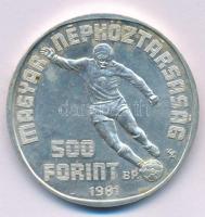 1981. 500Ft Ag "Labdarúgó Világbajnokság 1982" kapszulában T:BU fo.
Adamo EM65