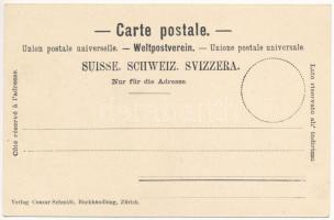 Zürich, Zurich; Schweizerisches Landesmuseum / Swiss National Museum. Verlag Ceasar Schmidt. Art Nou...