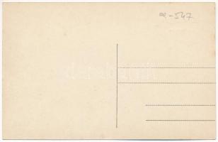 Kerc, Kerz am Alt, Kertz, Kierz, Carta (Szeben, Sibiu); Abteiruinen / Apátsági romok / abbey ruins