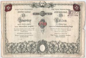Budapest 1935. "Salgó-Tarjáni Kőszénbánya Részvény-Társulat" 25db részvénye egyben összesen 750P-ről, magyar-német kétnyelvű részvény, szelvényekkel, szárazpecséttel és bélyegzésekkel, lyukasztásokkal érvénytelenítve T:F