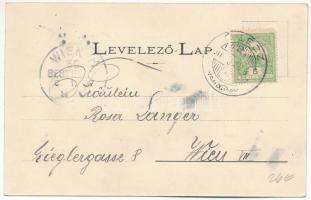 1907 Óléc, Stari Lec (Torontál); Dániel Pál kastély déli része, Dániel János kastély nyugati része, ...